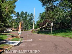 Utility Pole and tree on School Street